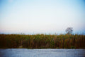 Everglades Horizon