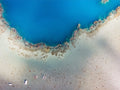 Shoreline Study
